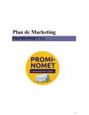 Plan de Marketing PROMINOMET S.A