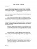 Ventajas y desventajas del fideicomiso