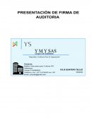 Administradora de empresas – Maestria en finanzas