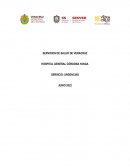 Informe mensual Servicio de Urgencias
