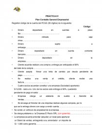 PRÁCTICA 01 Plan Contable General Empresarial. Página 1