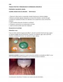 TRABAJO PRACTICO: PERMEABILIDAD DE MEMBRANAS ORGANICAS