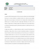 El caso del oso