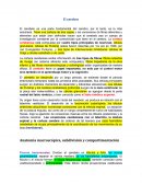 El cerebro. Anatomía macroscópica, subdivisión y compartimentación