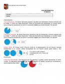 GUIA MATEMÁTICA 6º BASICO