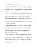 ÁNALISIS Y RESUMEN DE LA PELICULA “GUNG HO”
