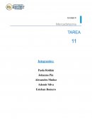 TAREA MERCADOTECNIA MACRONEGOCIOS S.A