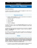 Diseño curricular, programación y desarrollo de competencias