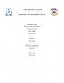 Brand Management empresa CINBOHX