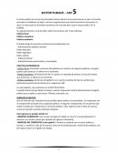 SECTOR PUBLICO – CAP 5