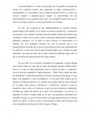 INFORME GEOMORFOLOGIA