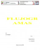 FLUJOGRAMAS