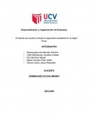 Emprendimiento y Organización de Empresas “Empresa que ayuda a brindar la seguridad ciudadana en la región Piura”
