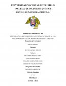 DETERMINACIÓN DEL NÚMERO DE PLATOS TEÓRICOS (ETAPAS) DE UNA COLUMNA DE DESTILACIÓN: Método de Mc Cabe Thiele - Reflejo Total