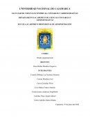 INFORME DISEÑO ORGANIZACIONAL