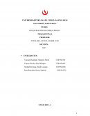 Investigación de operaciones empresa Arca Continental Lindley