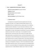 Observación de bacterias y hongos