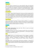 Guion-Exposicion Danper