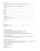 PARCIAL N·1 DE EPISTEMOLIGIA DE LAS CIENCIAS SOCIALES UBP(LIC.SEG.HIGIENE