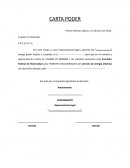 CARTA PODER ANTE CFE