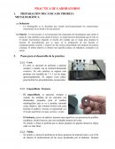PRACTICA PROBETA METALOGRÁFICA