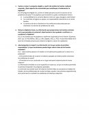 La Salud en el Siglo XX
