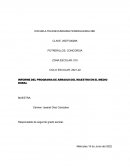 INFORME DEL PROGRAMA DE ARRAIGO DEL MAESTRO EN EL MEDIO RURAL