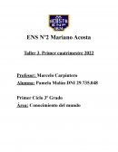 Fases de la luna