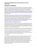 ANALISIS DE CONTAMINACION DEL AIRE CAUSADO POR EL SECTOR AUTOMOTRIZ