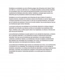 Filosofia Aristóteles