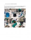 Informe lab de extraccion por solvente