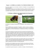 LA EMPRESA GANADERA Y FACTORES DE PRODUCCION