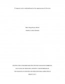 El impacto social y medioambiental en las organizaciones de Servicios