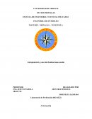Composición y uso de fluidos base aceite