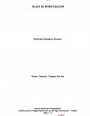 Práctica Pedagógica IV TALLER DE INVESTIGACION