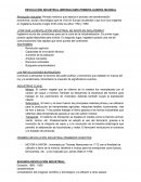 Imperialismo-Revolución industrial-Primera guerra mundial