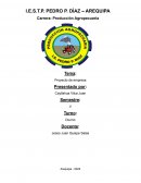 Proyecto de empresa Sumaq Cuy