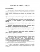 Anatomía de cabeza y cuello