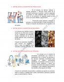 Planificacion y control. Diferencias entre flujo de trabajo y proceso