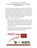 ANÁLISIS DE LOS RIESGOS INTERNOS Y EXTERNOS DE LA FÁBRICA PERUANA ETERNIT S.A