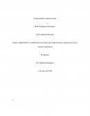 La importancia del estudio del comportamiento organizacional en el contexto empresarial