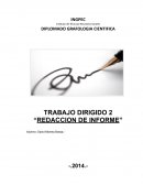 TRABAJO DIRIGIDO 2 “REDACCION DE INFORME”