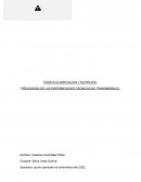 ENSAYO ALIMENTACION Y NUTRICION. PREVENSION DE LAS ENFERMEDADES CRONICAS NO TRANSMISIBLES
