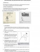 Movimiento rectilineo uniforme