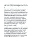 TRABAJO FINAL GRUPAL CASO: METALES MECA S.A