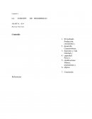 LA CONCEPT DE DESARROLLO