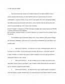 Y usted ¿por qué trabaja?