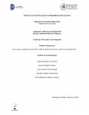 PLAN PARA LA PRODUCCIÓN DE UN PROTOTIPO DE PASTES A BASE DE XOCONOSTLE