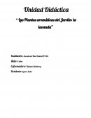 Planificación "La lavanda"