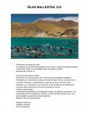 ISLAS BALLESTAS, ICA